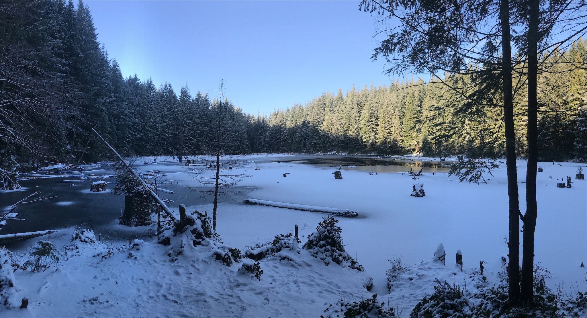 Blanchard Hill Alternate Incline Trail — Washington Trails Association